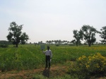 7796gt036b-cropland-rainfed-mixed-crops.jpg
