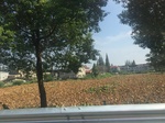 2017-09-12_14-09-57_21669412-75BD-4BFE-8D1A-34D8F7AD93FB.jpg