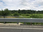2017-07-05_15-27-35_E.jpg
