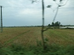 39616CIMG1716.JPG