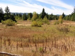 2012-09-24_15-05-51_OR-PK-22-Center.JPG