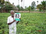 6379083b-irrigated-supplemental-major-tubewell-sugarcane-groundnut.jpg