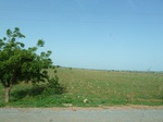 19345P1010191.JPG