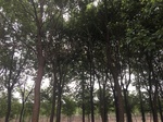 2017-09-10_06-56-09_537B2B00-1FED-44C5-961D-5F096351039D.jpg
