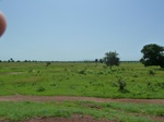 19523P1010370.JPG