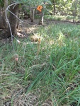 2012-09-24_10-40-23_DSC03150.JPG