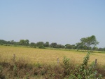 478401052008(56).JPG