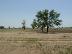 19195P1010041.JPG