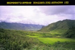 40463ANH2255.JPG
