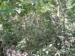 493319042008(22).JPG
