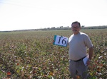 7999016-irrri-cotton-sw-1b.jpg