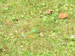 2012-09-19_15-20-20_OH-SC-4-2.JPG