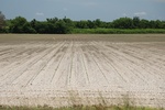 2022-05-26_14-22-18_417E941B-7F57-44E4-AE4B-A30A1376E868.jpeg