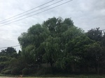 2017-09-10_06-44-24_620C55FE-6853-4DD0-BDC9-00378D581F19.jpg