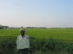 7688gt-134a-cultivated-irrigated-rice-large-area.jpg