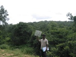 7713gt0121a-forests-secondary-young.jpg