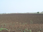 524627042008(2).JPG
