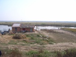 4551RIMG0006-1.JPG