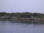 726R0015234.jpg
