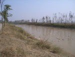 4681RIMG0123.JPG