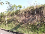 5630100_1062.JPG