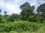 8847nigeria 052.jpg