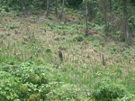2012-09-08_20-00-35_RIMG0073.JPG