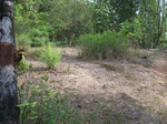 499720042008(8).JPG