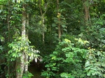 17495100_2750.JPG