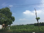 2017-09-12_12-44-15_CB7673D0-7500-4C13-9F24-9BDE3E762BA7.jpg