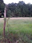 2012-09-21_17-10-29_Antioch Road-2.JPG