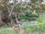 5519100_0888.JPG