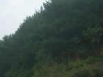 2012-09-08_19-26-11_RIMG0021.JPG