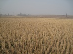 8419IMG_0244.JPG