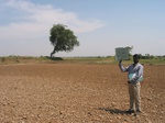 7841gt058a-cropland-rainfed-mixed-rocks-in-farms.jpg