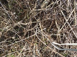 2018-04-09_14-00-38_DSCF1628.JPG