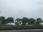 2017-09-10_07-05-22_76CD0D07-9019-4848-9474-88D22F69F6D9.jpg