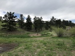 2018-05-27_14-19-49_4CBC48E1-0CB2-4738-ACB7-B57A4516FD58.jpg