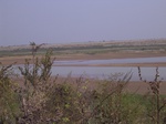 2822 045.jpg