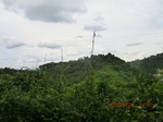 2012-09-26_20-49-18_CIMG0994.JPG