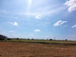 56178CIMG6884.JPG