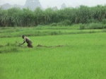 2012-09-07_10-16-19_CIMG6696.JPG