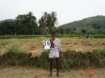 6196036a-irrigated-supplemental-groundwater-rice-groundnut-curryleaves-vegetables-orchards-doublecrop.jpg