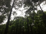 2017-09-10_06-56-15_7D04D983-1421-44AD-B3A0-F7DB8B48651D.jpg