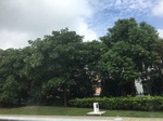 2017-09-12_12-38-03_1CCC08BC-FC87-43CB-9A5B-A131CD1A59B7.jpg