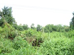 14221IMG_4561.JPG