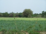 1693002052008(89).JPG