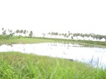 14220IMG_4560.JPG