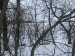 2020-02-21_10-41-29_FE59CA17-C28F-4B4E-8F21-E5B766B7B572.jpg