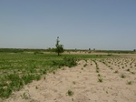 19179P1010025.JPG